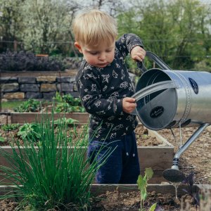 5 tips to teach sustainable habits to your kids