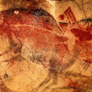 The history of Altamira:  Do visits affect the deterioration of the cave paintings?