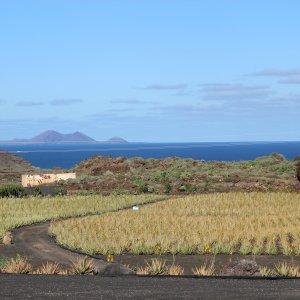 Cómo conseguir cultivos ecológicos en una isla como Lanzarote