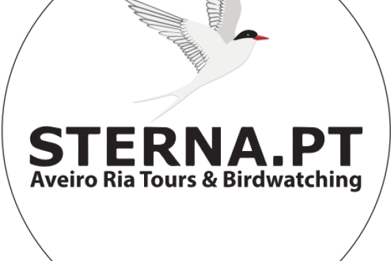 Sterna Aveiro Ria Tours & Birdwatching