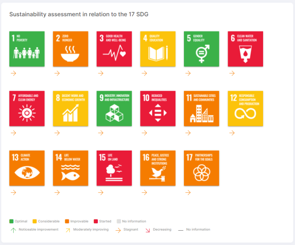 Communicate your achievements of the 2030 Agenda publicly