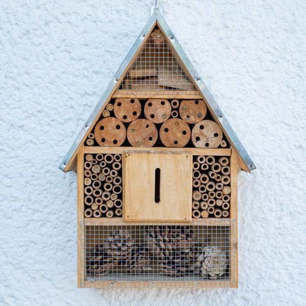 Insect hotels: learn more about this initiative