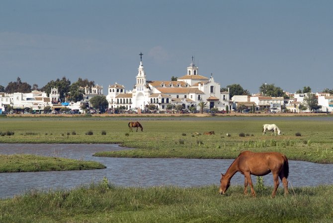 Condado Doñana